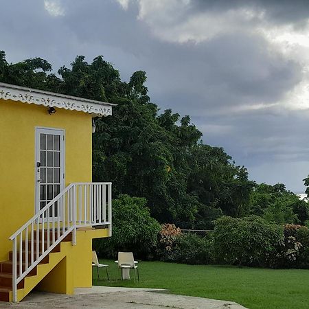 شقة Spectacular Ocean View Retreat سانت جيمس المظهر الخارجي الصورة